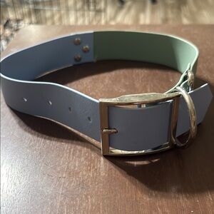 Big Sage and Polar blue biothane dog collar